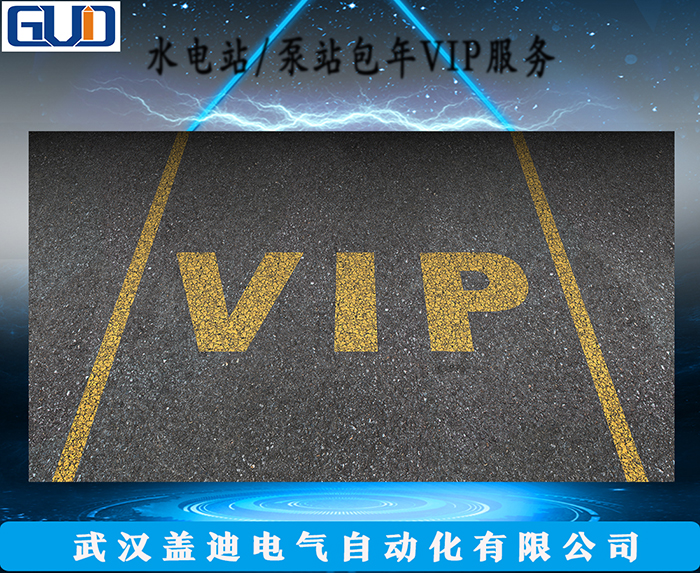 水电站/泵站包年VIP技术服务