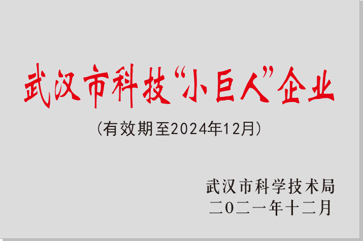 武汉市“科技小巨人”企业